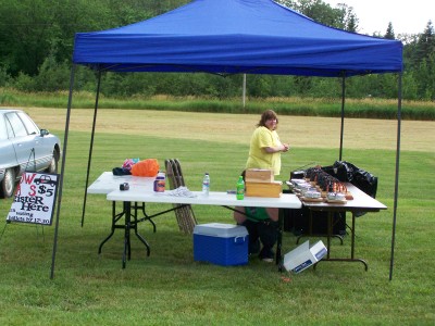 Registration Booth managed by Carol B.