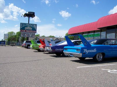 SuperBird Wings