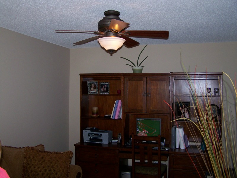 Ceiling Fan Fished In